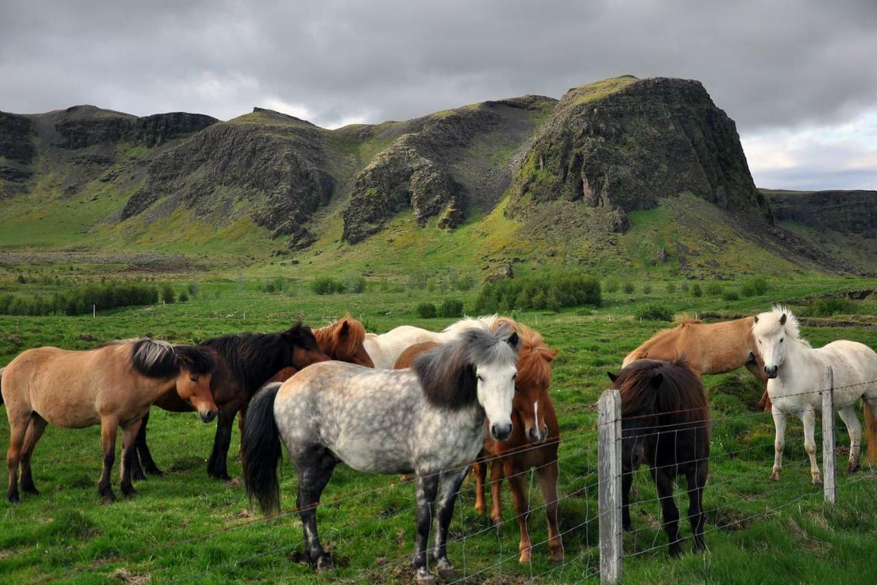 Vila Klettur Borgarnes Exteriér fotografie